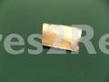 Reflector - 1019787 Lamp Socket [Amica]